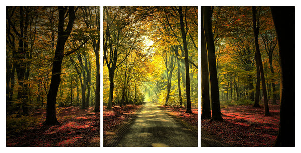 Autumn Forest 3 Panel HD Acrylic Print
