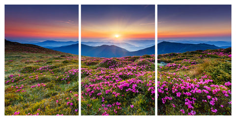 Carpathian Mountains 3 Panel HD Acrylic Print