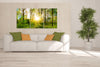 Spring Forest 3 Panel HD Acrylic Print