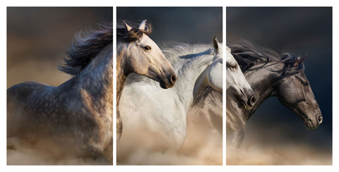 Running Horses 3 Panel HD Acrylic Print