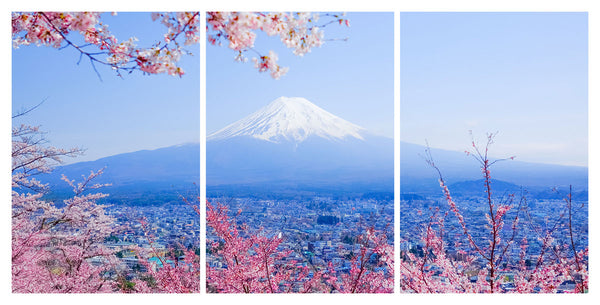 Mount Fuji 3 Panel HD Acrylic Print