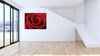 Red Rose HD Acrylic Print