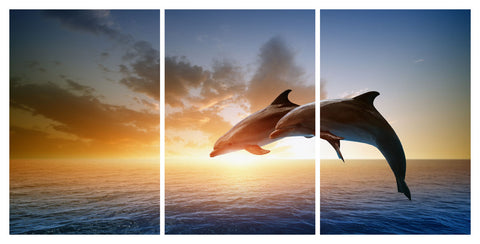 Dolphins 3 Panel HD Acrylic Print